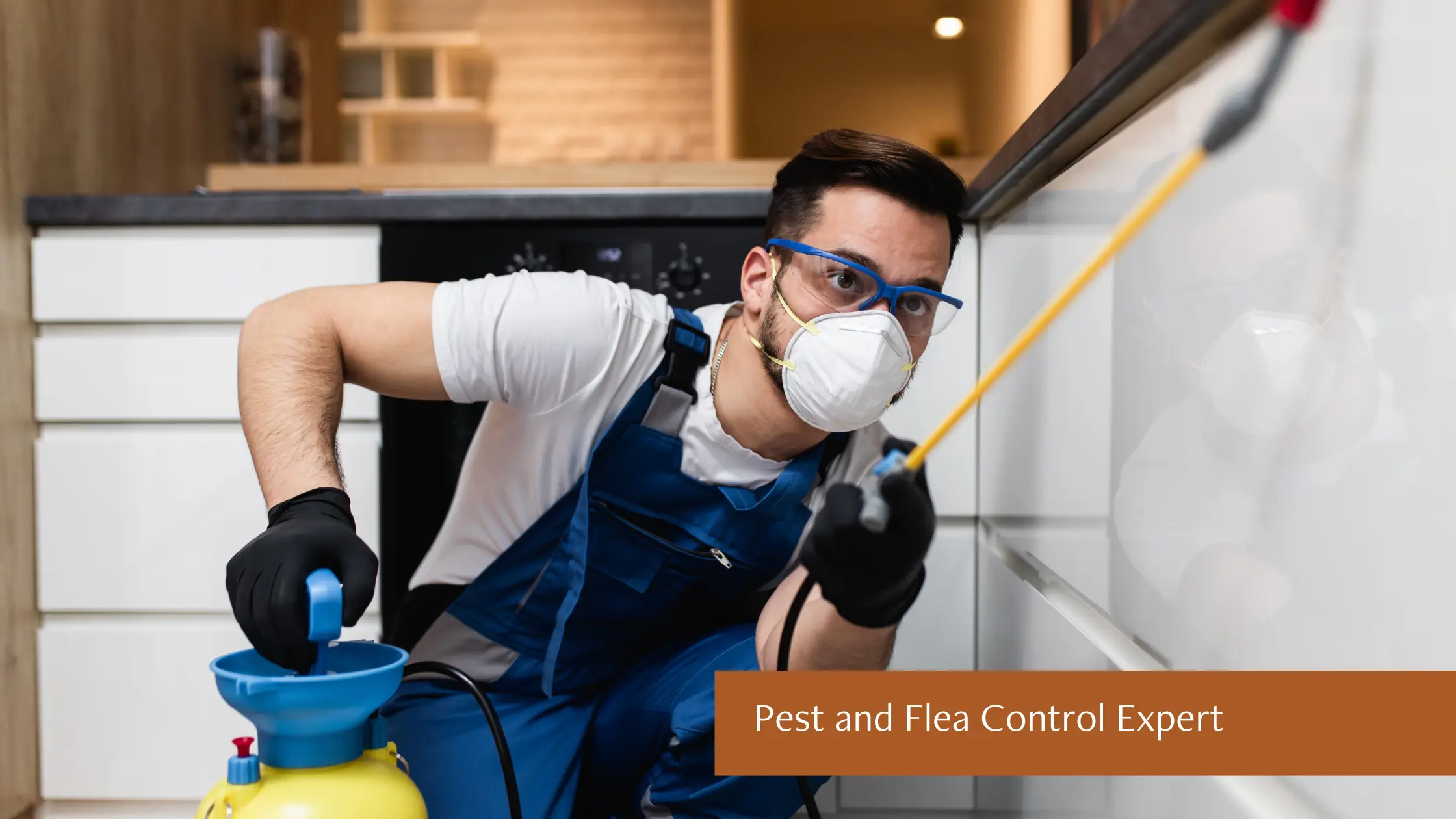 Pest and Flea Control Expert
